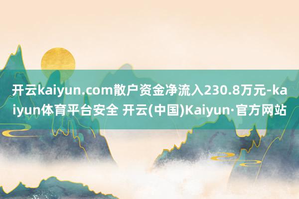 开云kaiyun.com散户资金净流入230.8万元-kaiyun体育平台安全 开云(中国)Kaiyun·官方网站
