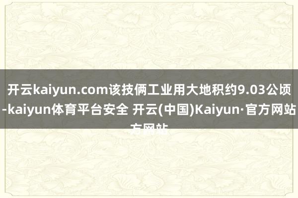 开云kaiyun.com该技俩工业用大地积约9.03公顷-kaiyun体育平台安全 开云(中国)Kaiyun·官方网站