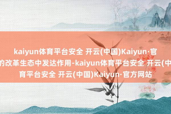 kaiyun体育平台安全 开云(中国)Kaiyun·官方网站抓续在更平凡的改革生态中发达作用-kaiyun体育平台安全 开云(中国)Kaiyun·官方网站